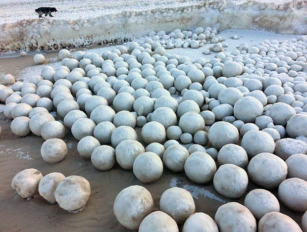 BBC. Bolas de neve gigantes aparecem em praia da Sibria. Moradores do Golfo de Ob, no noroeste da Sibria (Rssia), foram surpreendidos neste sbado com milhares de bolas de neve espalhadas pela praia - Bolas de neve naturais de diferentes tamanhos cobriram parte do Golfo de Ob 