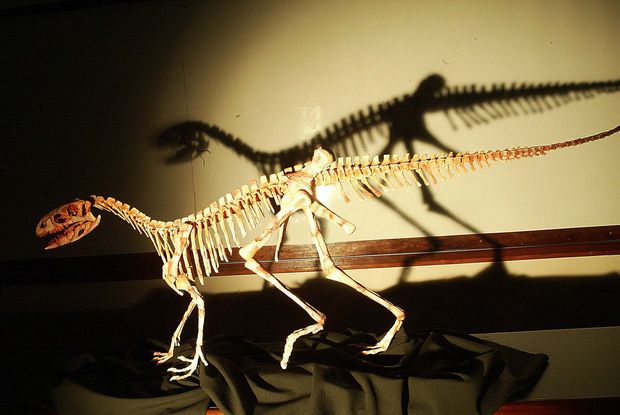 Dinossauro batizado como "Sacisaurus agudoensis" e descoberto no Rio Grande do Sul