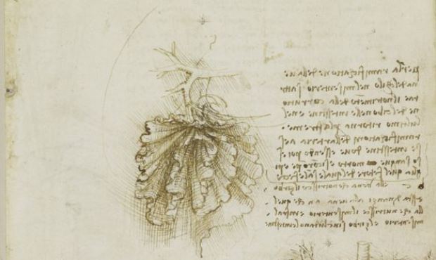Caderno de desenhos de Da Vinci j continha registro da estrutura conhecida como mesentrio