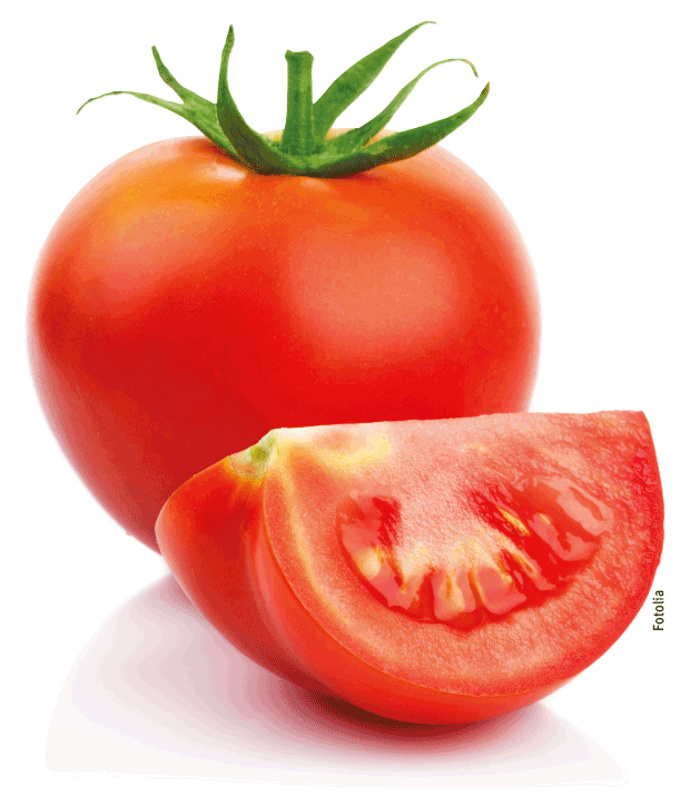 Raio-x tomate