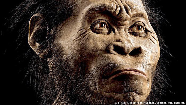 _Homo naledi_ pode ter convivido com ancestrais humanos