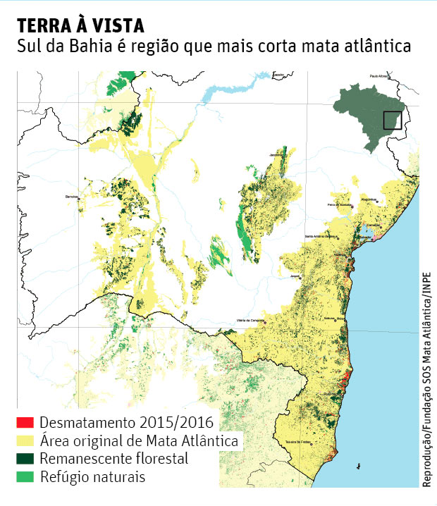 Desmatamento no sul da Bahia