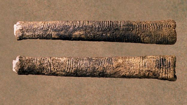 O osso de Ishango, de 20 mil anos, parece mostrar riscos que correspondiam a marcas de contagem 