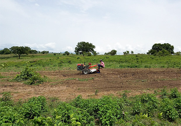 O projeto Hello Tractor funciona na Nigria desde 2014