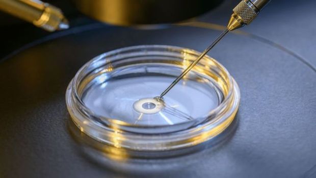 Pesquisas com embries humanos esto gerando debates sobre tica na comunidade cientfica