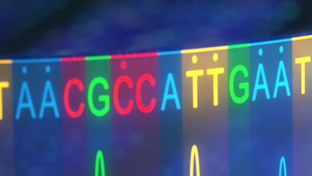 A 'edio de base' troca as 'letras' do DNA para curar doenas congnitas