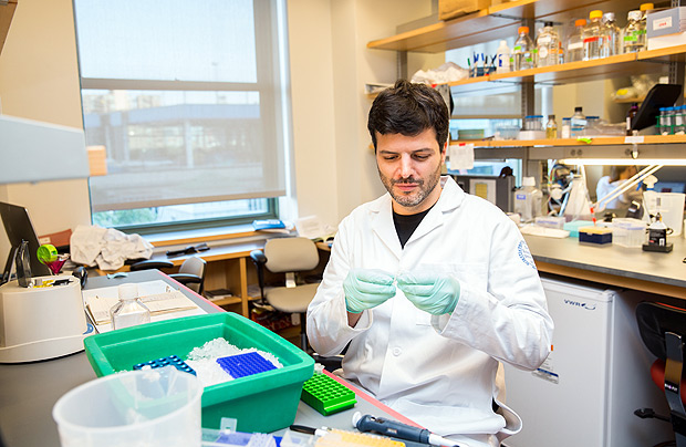 O imunologista brasileiro Gabriel Victora em seu laboratrio na Universidade Rockefeller, em Nova York 