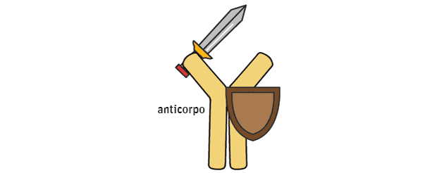 Anticorpo
