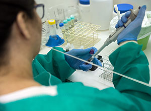 El 73% de los laboratorios erra el diagnóstico del virus del zika