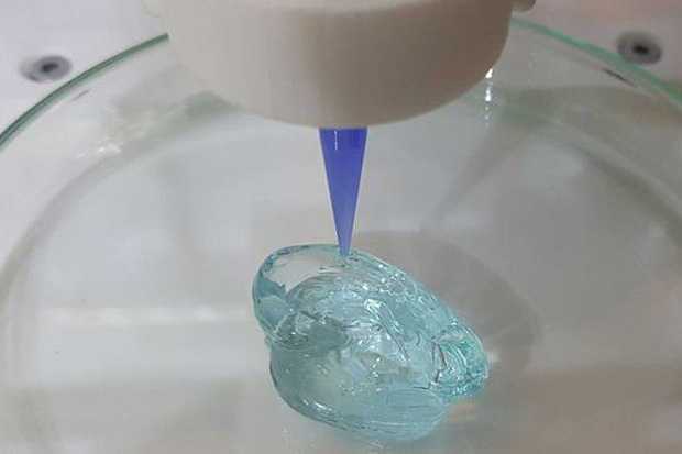 Impressora usa biotinta para produzir cartilagens e pele com clulas humanas