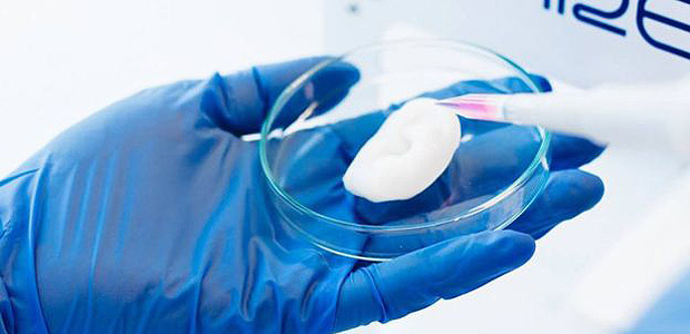 Orelha impressa em 3D; biomaterial  usado para pesquisas acadmicas e testes farmacuticos