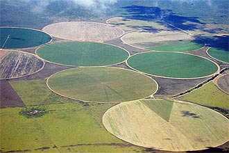 reas com plantaes irrigadas na regio de Barreiras e Lus Eduardo Magalhes (ou LEM); cada mecanismo custa R$ 400 mil