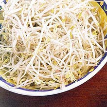 O oriental broto de feijo, tambm conhecido como moyashi, muito usado em saladas