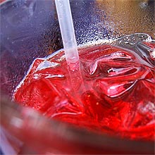 Frutas vermelhas contêm vitamina C e outros nutrientes que ajudam a prevenir o câncer