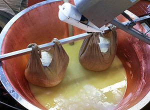 Produção de queijo parmigiano-reggiano, em Parma, na Itália