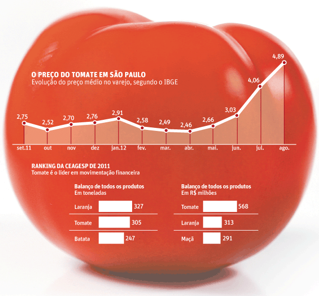 O preço do Tomate em São Paulo: Confira a evolução do preço médio no varejo, segundo o IBGE