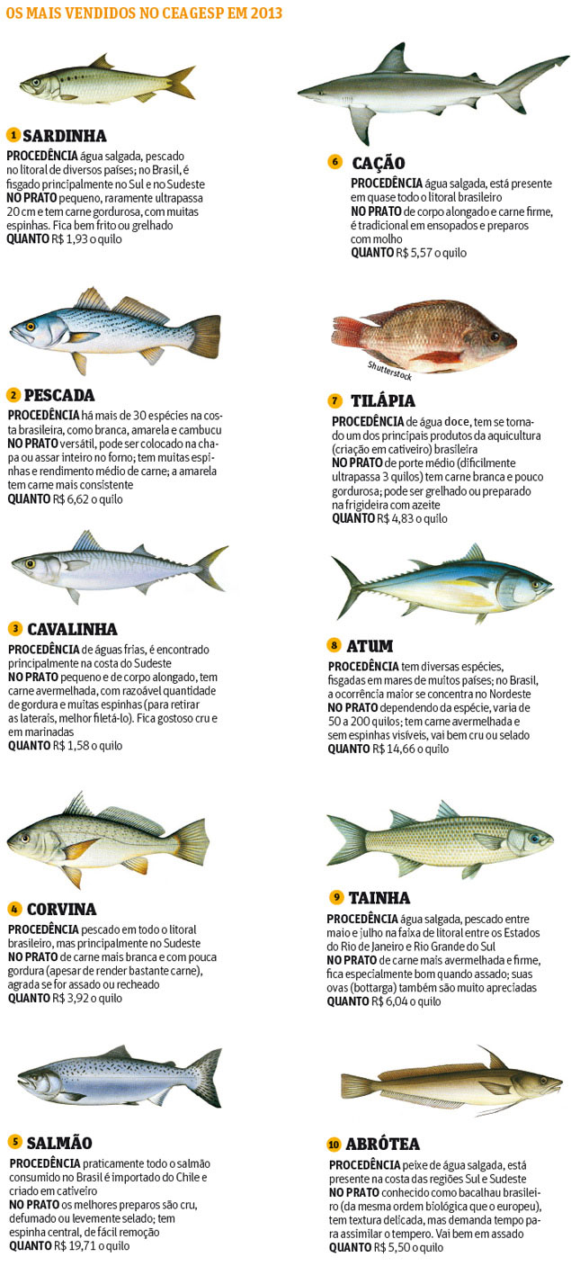 Os dez peixes mais vendidos no Ceagesp em 2013