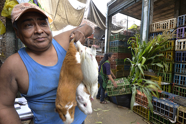 Porquinhos-da-ndia so oferecidos em um mercado popular de Lima
