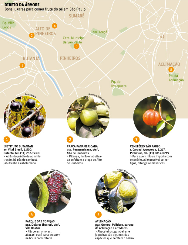 Bons lugares para comer fruta do p em So Paulo 