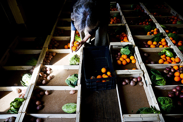 A volunteer fills up boxes with fruit and vegetables at the 