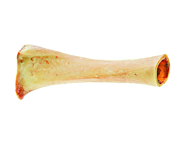 Tutano: subst. masc.: matéria que preenche as cavidades ósseas; medula; substância mole e gorda que existe no interior dos ossos