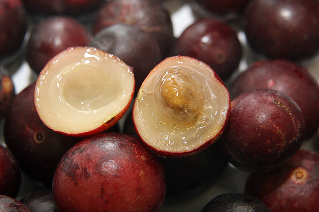 Fruta camu-camu, originria da Amaznia,  um dos 196 alimentados catalogados pelo guia