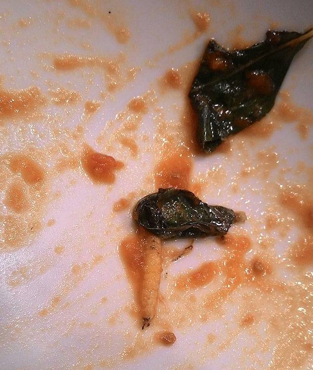 Foto publicada em rede social pela jornalista com a larva no prato