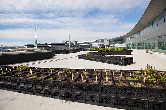 JetBlue instala pequena 'fazenda' em terminal do aeroporto JFK, em Nova York