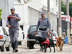As cadelas farejadoras que auxiliaram a localizar vítimas do desabamento