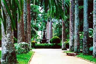 Inaugurado por d. Joo 6, Jardim Botnico no Rio completa 200 anos com criao de museu e livro sobre sua histria