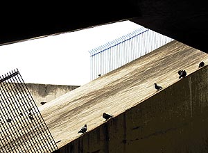 Pombos pousam no teto da estao Santana do Metr, na zona norte de SP; empresa realiza plano para expulsar aves