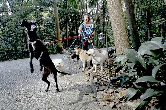 Tilda Lax, 60, passeia no parque Trianon; donos de cães dizem que animais não podem passar por mata