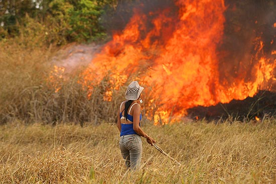 Sem-terra ajudam apagar os focos de incndios provocados pela estiagem no interior de So Paulo