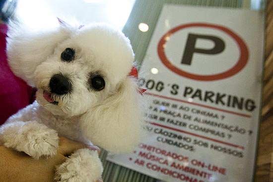 No shopping Higienópolis, cães e gatos podem ficar em "pit stop" de animais enquanto donos fazem compras