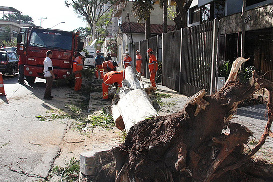 Funcionrios da prefeitura precisaram usar motoserra para retirar rvore cada na rua Marambaia, na Casa Verde