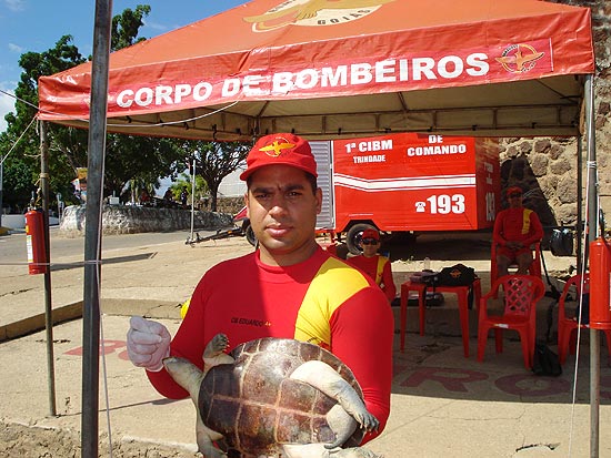 Bombeiro mostra tartaruga encontrada morta no rio Araguaia, em Gois, com linha e anzol de pesca na boca
