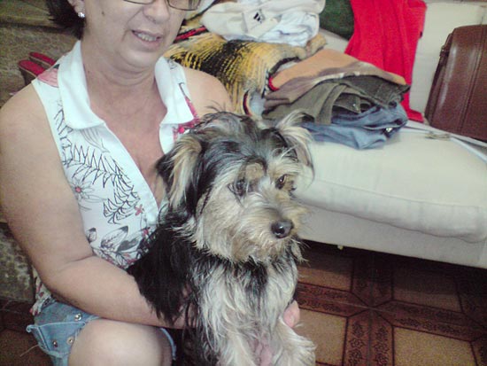 Imagem mostra cachorro Gigio que morreu em um pet shop do Ipiranga na zona sul de So Paulo 