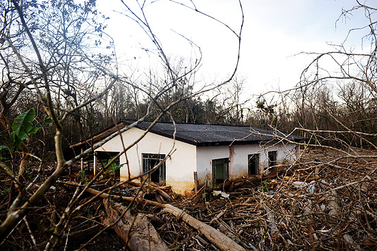 Casa onde viviam cerca de 60 famílias no município de Paranaguá foi invadida por troncos de árvores
