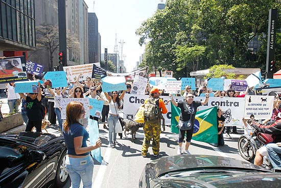 Movimentação iniciada nas redes sociais protesta contra agressões contra animais na av. Paulista, em SP