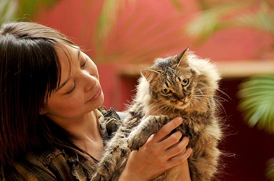 O gato Ozzy, que foi tirado do lixo com 7 dias, e sua dona, Susan Yamamoto