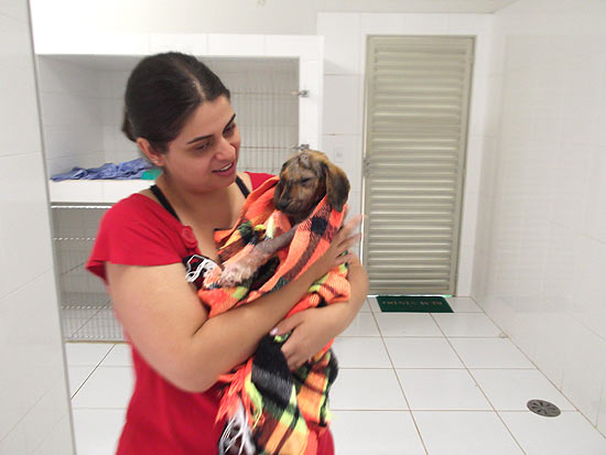 Titã, resgatado após ficar enterrado por 12 horas no quintal do dono que morava em Novo Horizonte, em SP