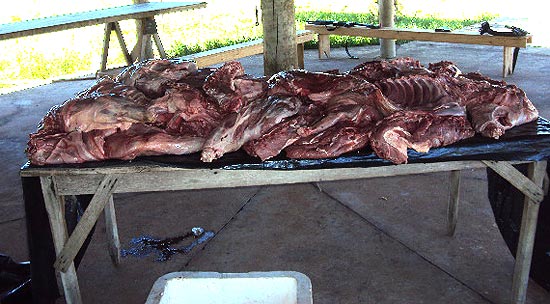 PMA apreendeu 200 kg de capivara no domingo (11) em Bataguassu (MS)