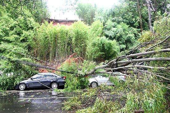 Árvore cai sobre carros em estacionamento do Hospital Madre Tereza em BH; sobe nº de cidades em emergência