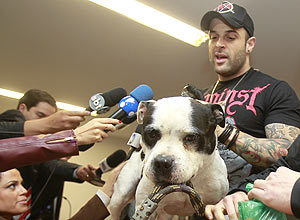 Levado em arrastão na semana passada na zona sul de São Paulo, o cão Zeca foi encontrado em uma favela na zona leste