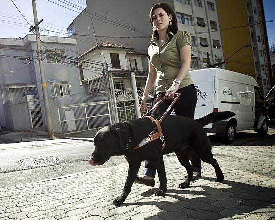 Uma campanha online precisa de doações para "cães-guia" brasileiros