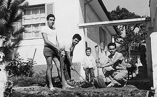 "Seu" Michele Antnio Lagreca com a enxada, em 1968, plantando uma rvore