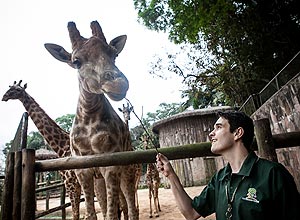 O zootecnista Henrique Lus Tavares, 35, com girafas no zoolgico de So Paulo