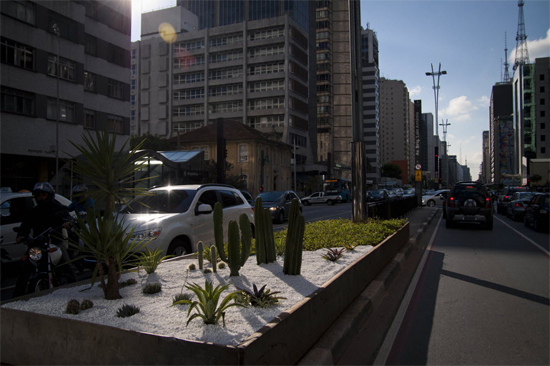Canteiro central da avenida Paulista ganha "jardim tropical", prximo a rua Teixeira da Silva