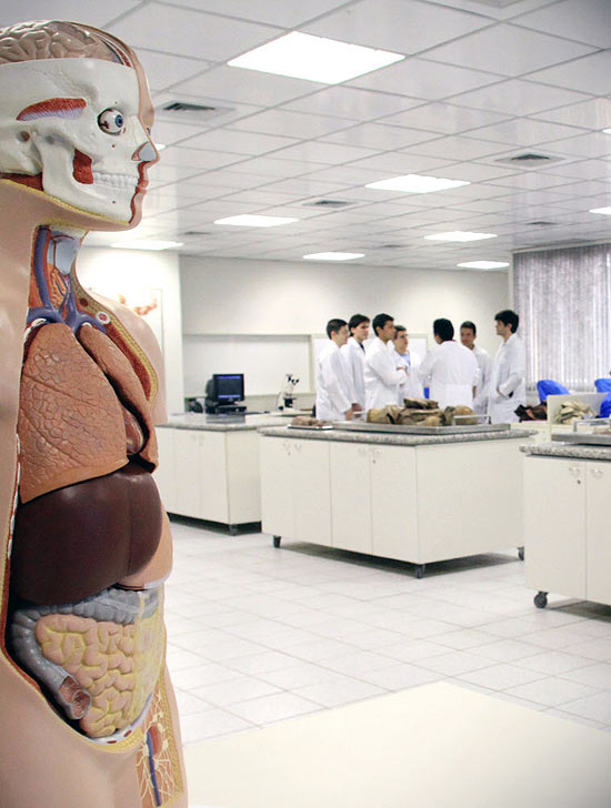 Aulas no laboratório de medicina da Universidade de Fortaleza