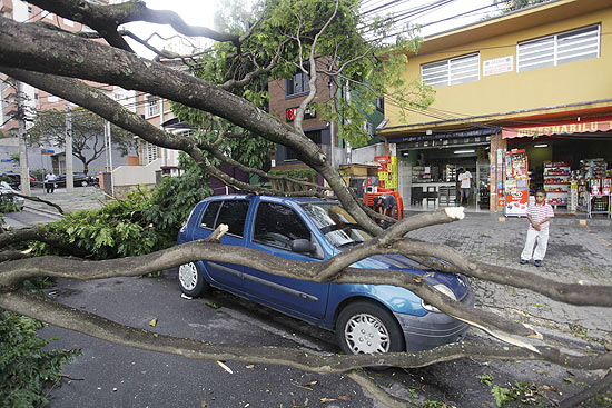 rvore cai e atinge veculo na regio do Morumbi na zona oeste de So Paulo durante temporal